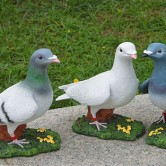 公園仿真鴿子雕塑