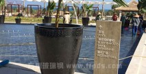 玻璃鋼戶外景觀花盆讓海南七星度假酒店更高雅華麗